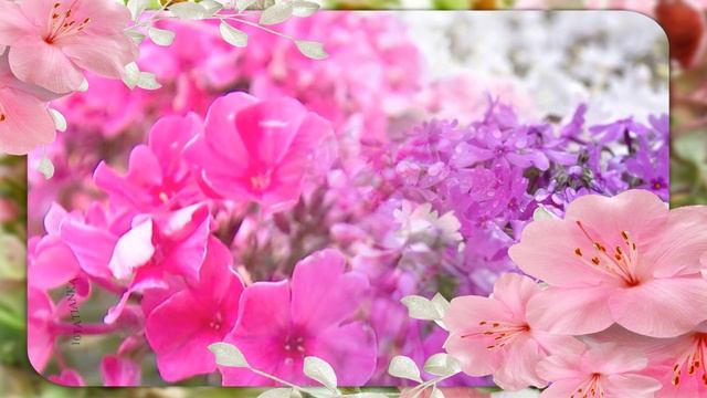 Счастливого июля! Хорошего настроения! ☀️ смотреть онлайн