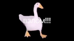 Взлом канала НТВ+