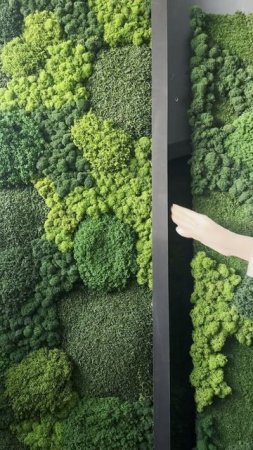 Рама для картины из стабилизированного мха