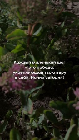 Мечты НЕ должны оставаться мечтами… они должны быть масштабными целями
