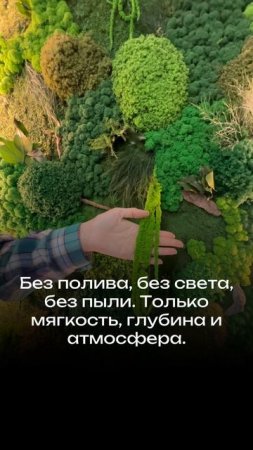 Работы из стабилизированных растений