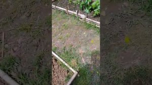 подготовка грядок