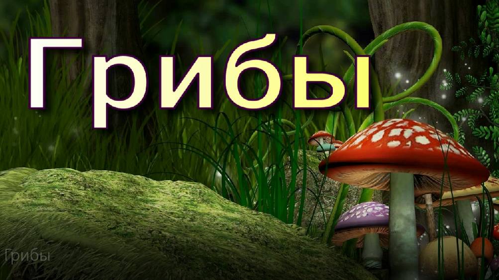 Грибы. Тайны грибного царства.