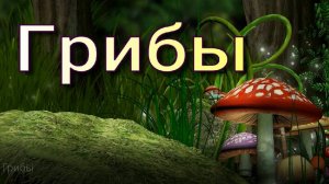 Грибы. Тайны грибного царства.