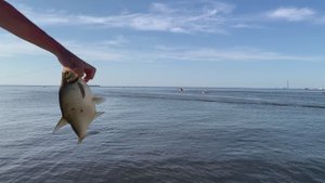 Финский залив 19.07.2025