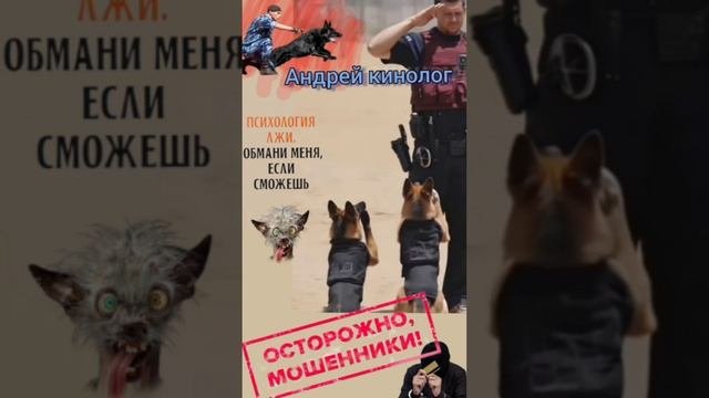 Сборник нечисти от Кинолога