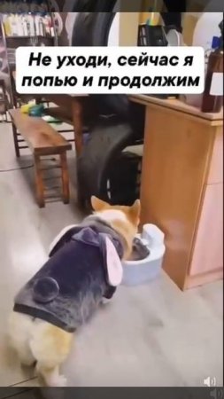 Не уходи🤣