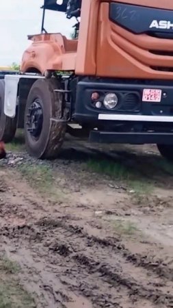 wait for me !! #animals #comedy #funny  #short
