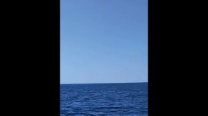 Тихий светоконтур