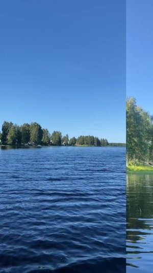Ты неси меня река