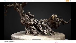 Base Models