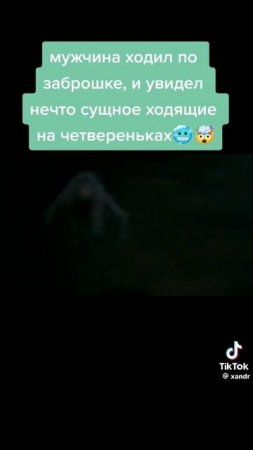 что ты такое