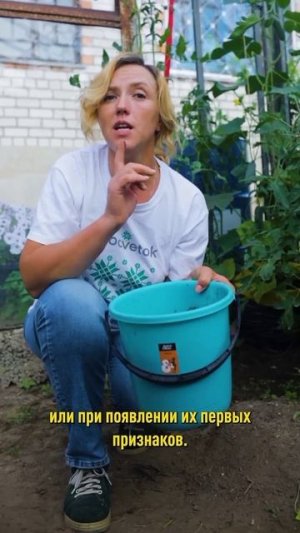 Хреновуха спасет ваш урожай! Мощное средство от болезней сада и огорода! Как приготовить и применять