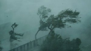 Ветер сносил людей: во время урагана «Вифа» вблизи Гонконга пострадали более 25 человек