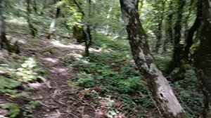 Забираемся вверх по Кавказским горам на Чёрном море в Архипо-Осиповке