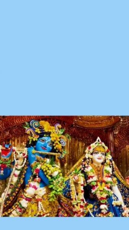 Happy Sri Krishna Janmastami #mayapur #harekrishna #deities #radhamadhava #shorts