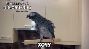 От меня