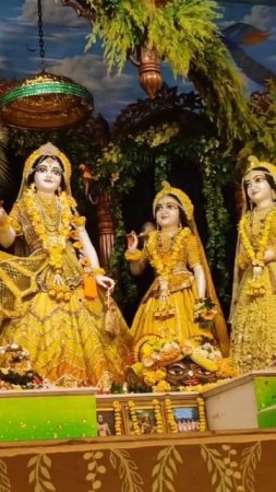 Radha Madhava darshan 7 in Sri Mayapur Chandrodaya mandir #mayapur #shorts