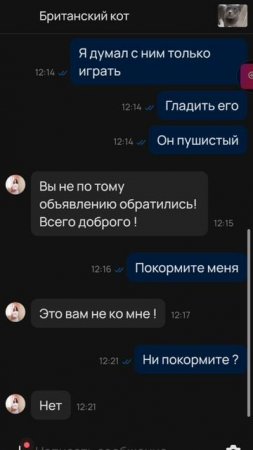 Кормить кота нужно