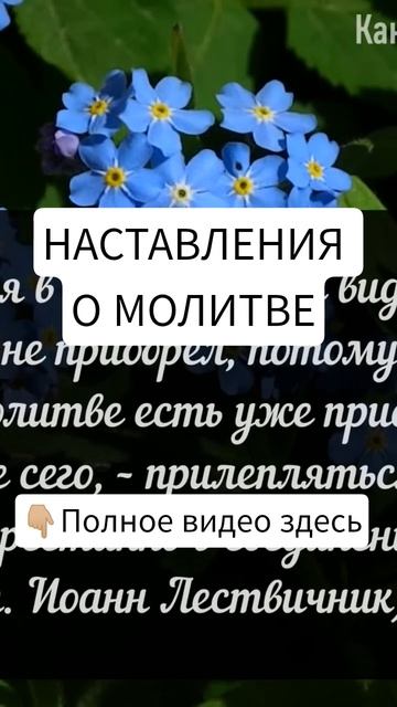 МОЛИТВА - ДРАГОЦЕННА САМА ПО СЕБЕ! смотреть онлайн