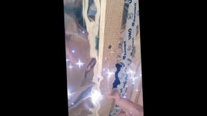 1000029603.mp4 (Собака наблюдает за креплением каркаса для имитации бруса в доме А-фрейм)
