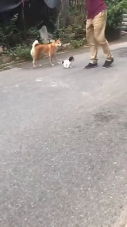 Как игрушечный