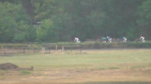 20.07.2025г скачка № 1