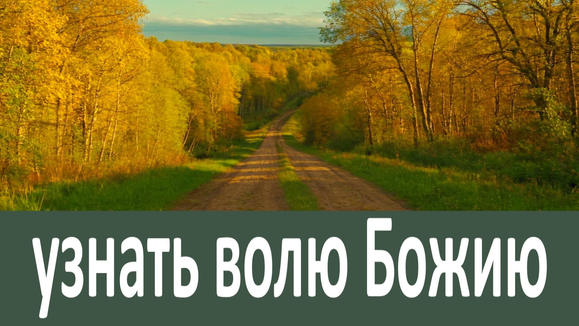 Как узнать волю Божию? смотреть онлайн