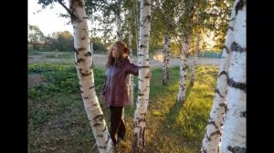 Ты моя роза -  Автор музыка и поёт Влад Порфиров