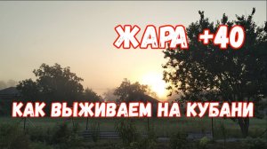 #56🌷Зачем так мучиться/Первый арбуз поспел/Урожай персиков/ Яблочно-персиковый сок/Убрала весь лук