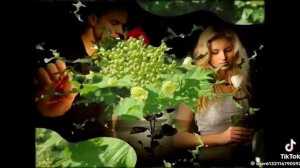 Биение моего сердца🎼🎸🎼💫💃💫