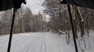 Колтушская Лыжня