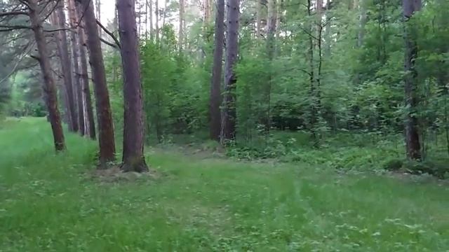 ЗАЩИТА ДУХОВ... на языке духов