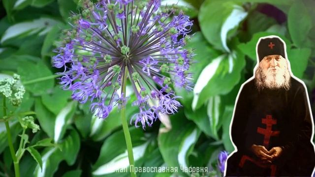 СОВЕТЫ О МОЛИТВЕ ИИСУСОВОЙ - СХИИГУМЕН ИОАНН АЛЕКСЕЕВ смотреть онлайн