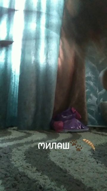 рано рано рано утром