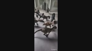 Мир Юрского Периода(Трейлер) SIGMA DOG 2