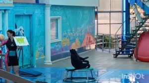ДЕЛЬФИНАРИЙ НЕБУГ 🐬🐬🐬/ КРАЙНИЙ ДЕНЬ НА МОРЕ