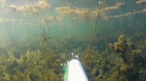 сверху болото с низу красоты