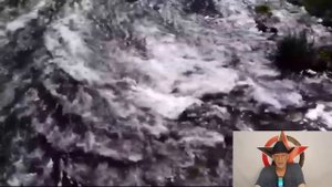 Ложные социальные Роли : Этология обмана и власти