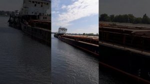 1000046558.mp4Волга.20.07.2025г.