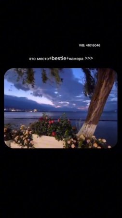 🌸 Розовый Kodak M35 — артикул WB 41016046