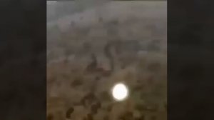 Даже если представить, что это шаровая молния, то остается вопрос, как она движется с такой скорость