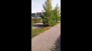 Весна.ностальгия