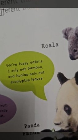 English for kids. Encyclopedia. Pandas and koalas