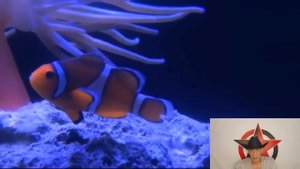 Червь зависти и его норы : Эволюционная природа грехов