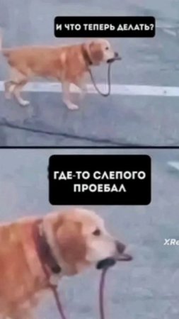 scene_output.mp4