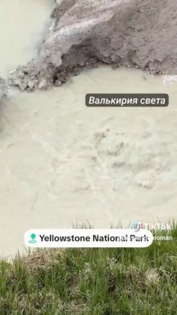 Йеллоустоун пробуждается.