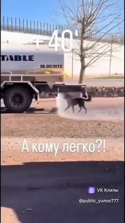 🤣лето, а кому легко!?