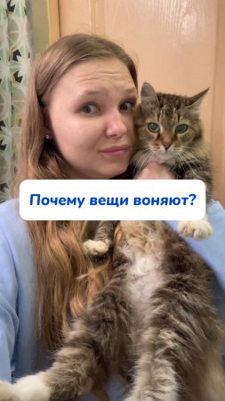 Пенный очиститель

Артикул на WB #269153142
Ozon #1740810271

Этот пенный очиститель - мое спасение