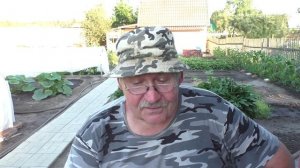 Сказка Зайцы и лягушки